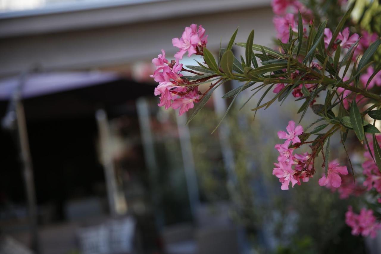Guest House Lorenta Βόντιτσε Εξωτερικό φωτογραφία
