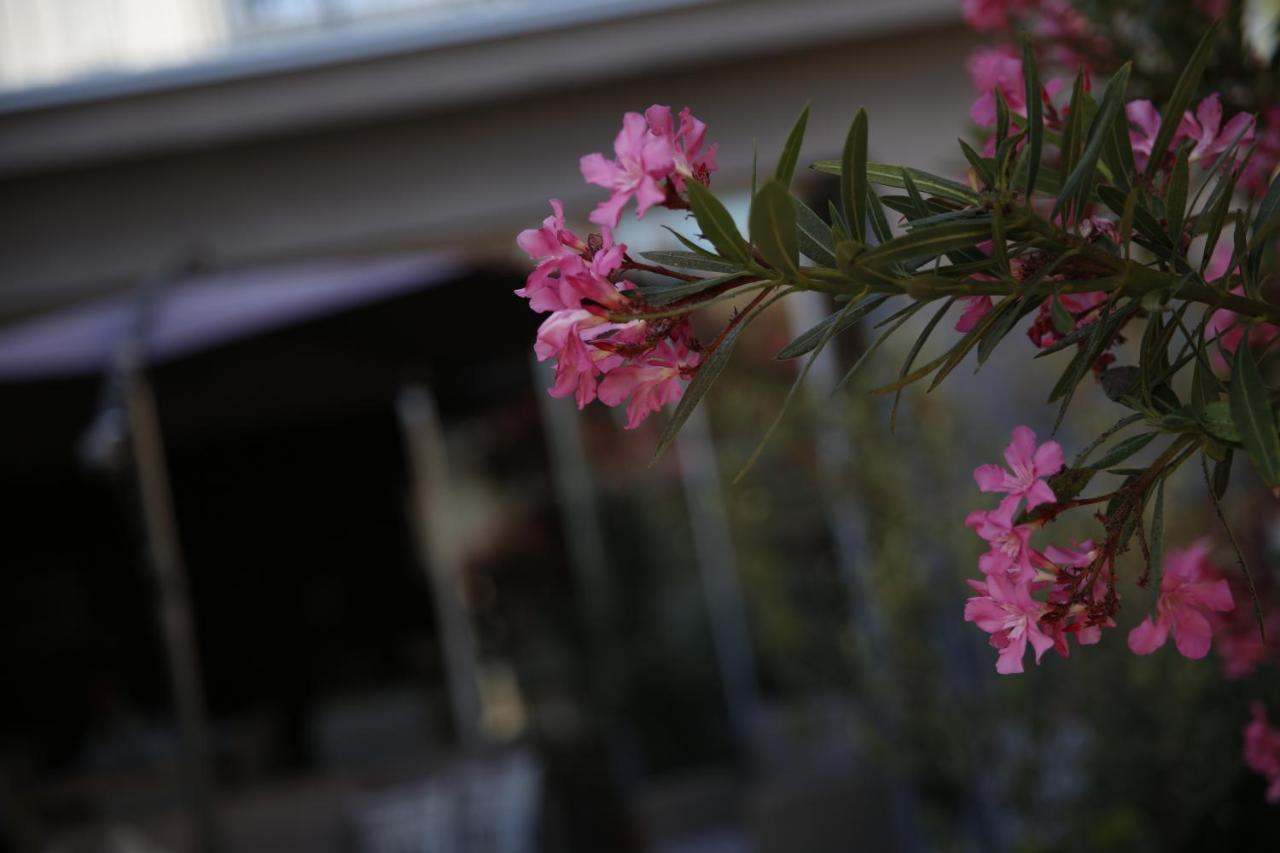 Guest House Lorenta Βόντιτσε Εξωτερικό φωτογραφία